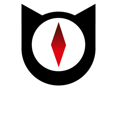 Gato Andino
